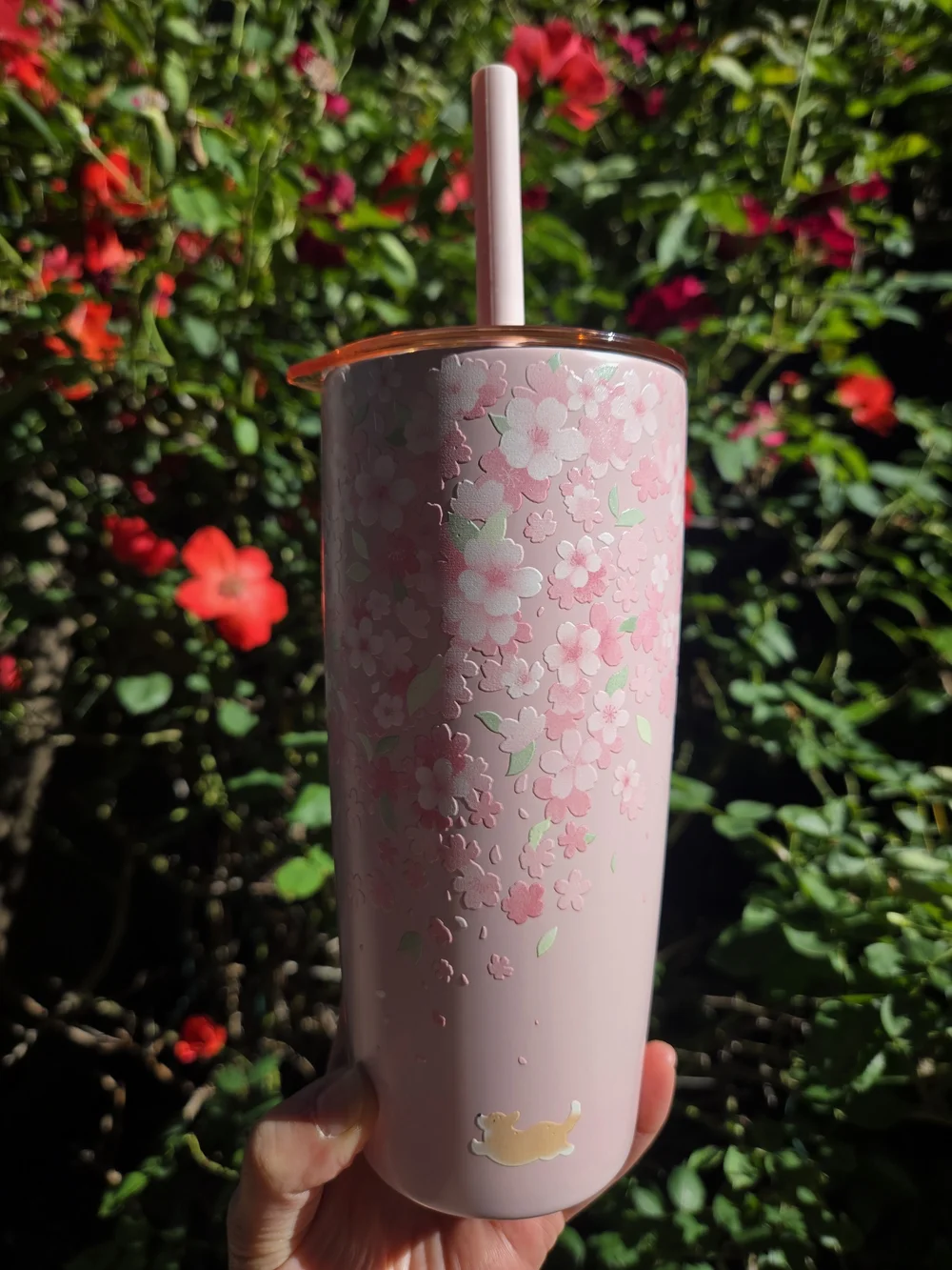 Starbucks Limited Edition Corgi Sakura Cherry Blossom Stainless Steel Tumbler
